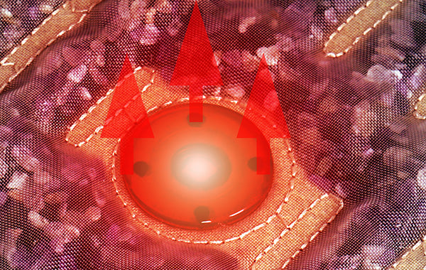 FIR Sauna Dome with PEMF, Germanium Stones & Red Light Therapy